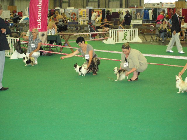 P7116499 [1600x1200]