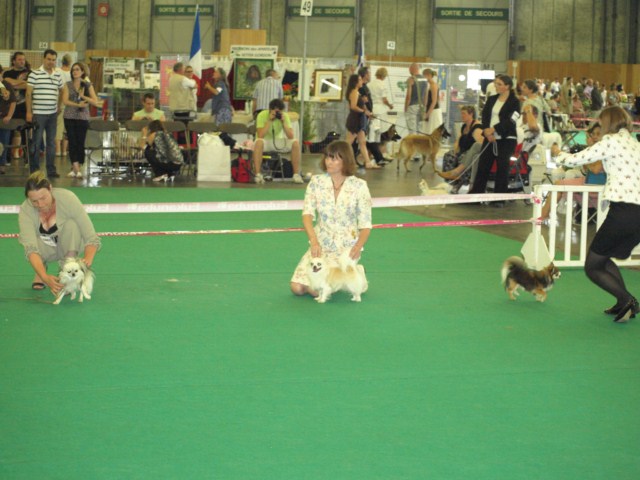 P7116500 [1600x1200]