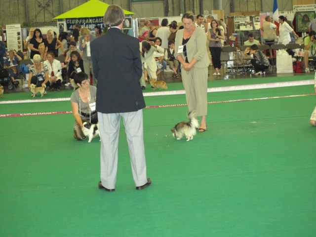 P7116501 [1600x1200]