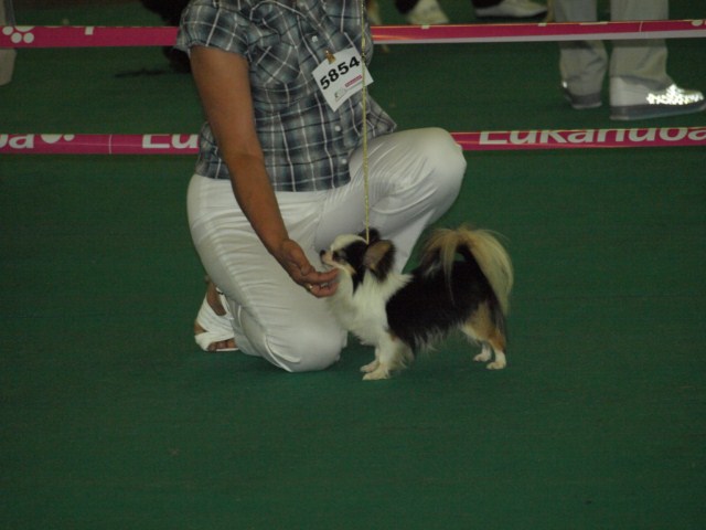 P7116502 [1600x1200]