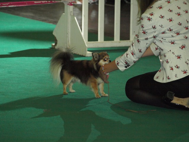 P7116503 [1600x1200]