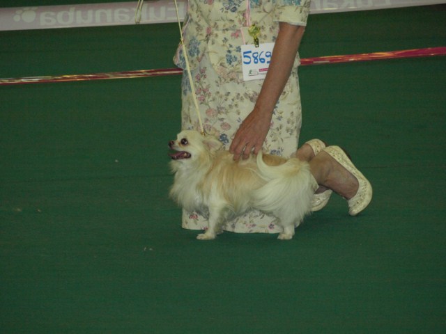 P7116504 [1600x1200]