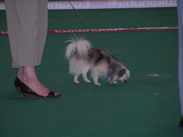 P7116505 [1600x1200]