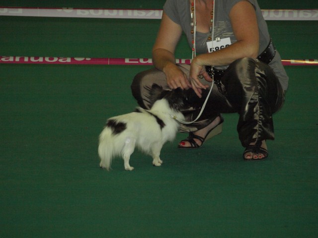 P7116506 [1600x1200]