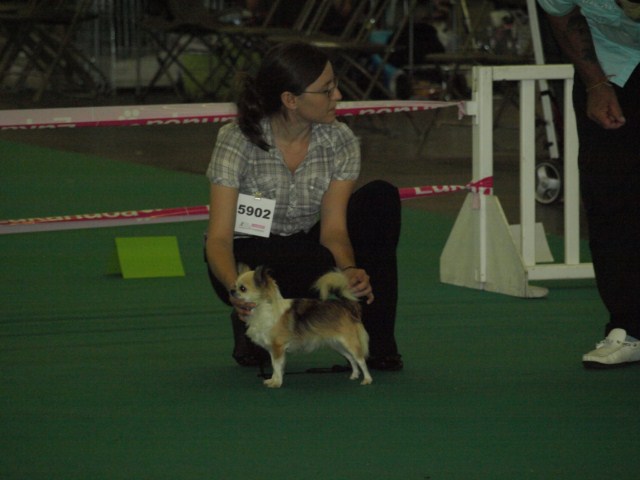 P7116507 [1600x1200]