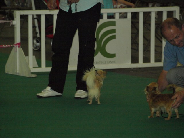 P7116508 [1600x1200]