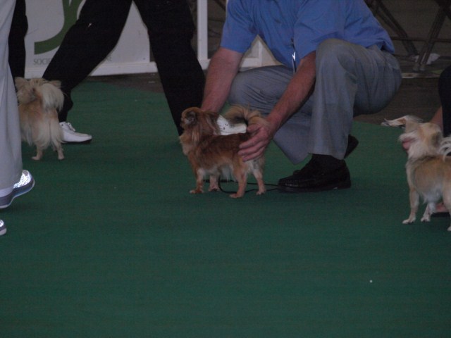 P7116509 [1600x1200]