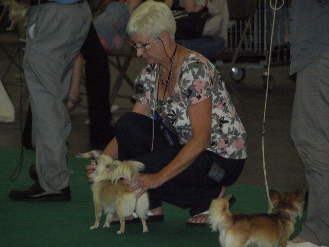 P7116510 [1600x1200]