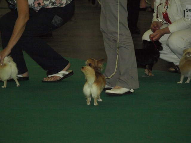 P7116511 [1600x1200]