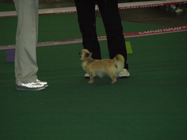 P7116513 [1600x1200]