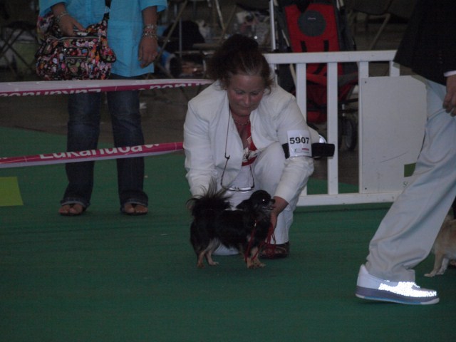 P7116515 [1600x1200]