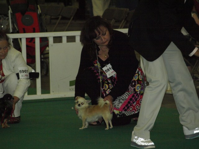 P7116516 [1600x1200]