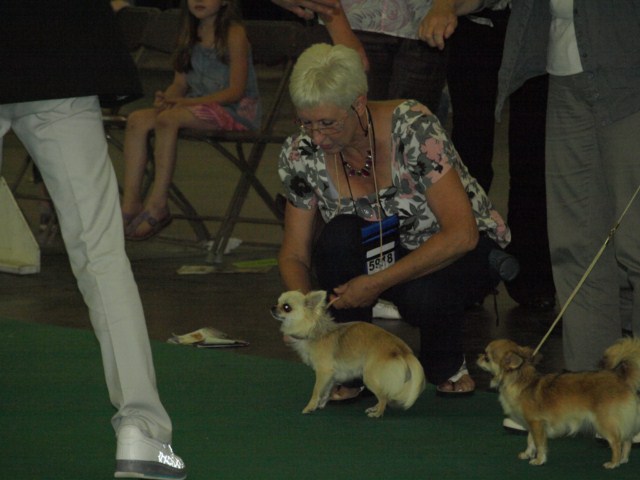 P7116517 [1600x1200]