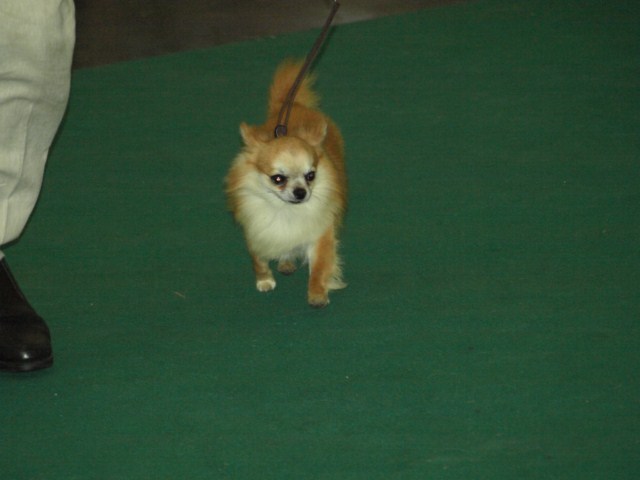 P7116518 [1600x1200]