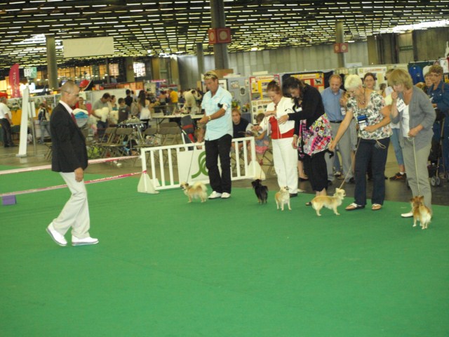 P7116519 [1600x1200]