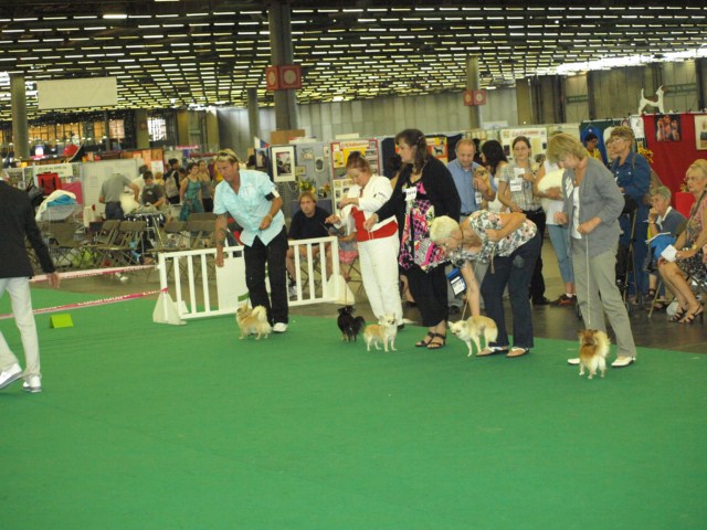 P7116520 [1600x1200]