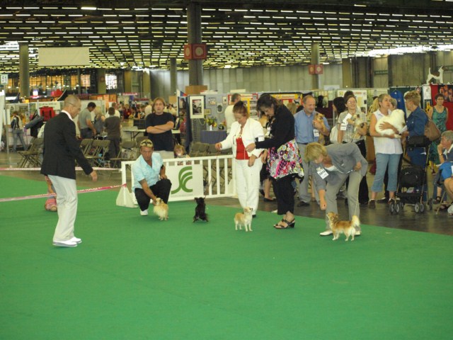 P7116521 [1600x1200]