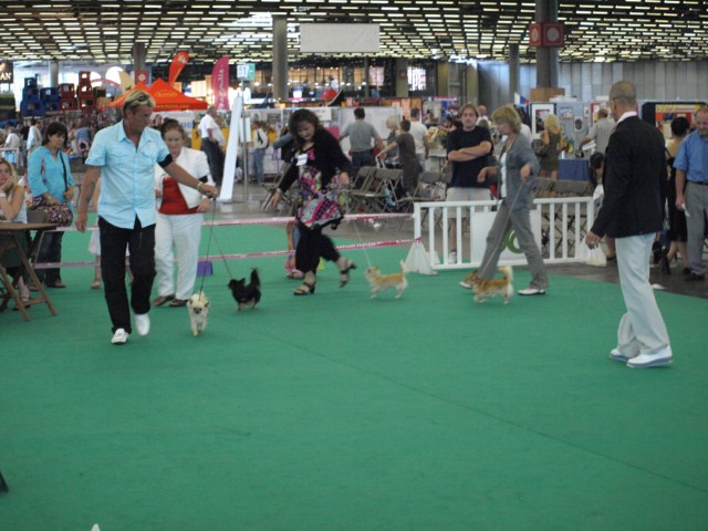 P7116522 [1600x1200]