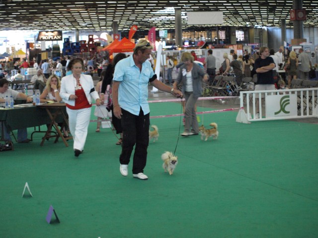 P7116523 [1600x1200]