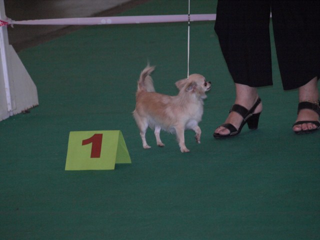 P7116524 [1600x1200]