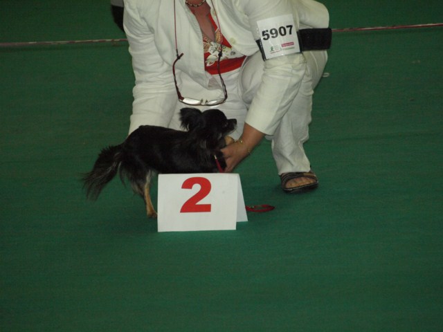 P7116525 [1600x1200]