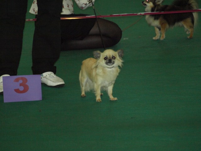 P7116526 [1600x1200]