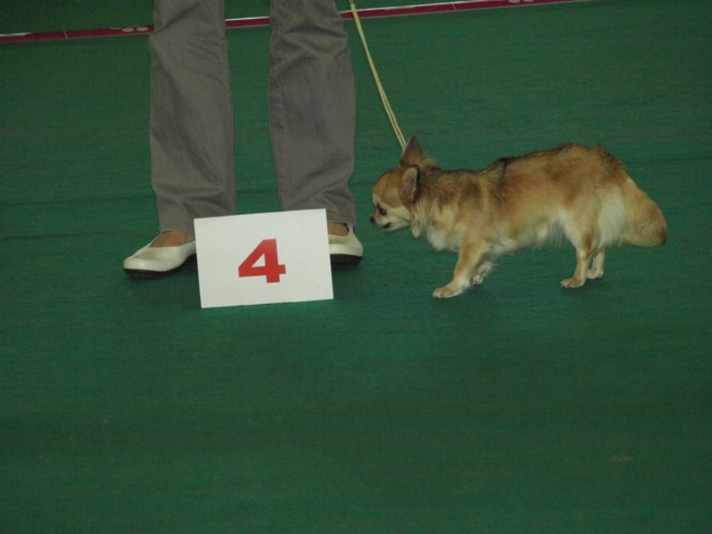 P7116527 [1600x1200]