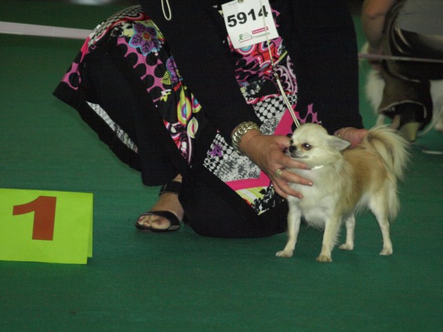 P7116528 [1600x1200]