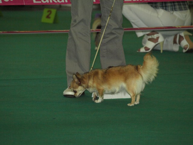 P7116529 [1600x1200]