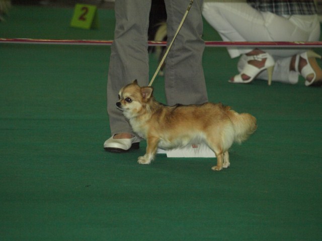 P7116530 [1600x1200]