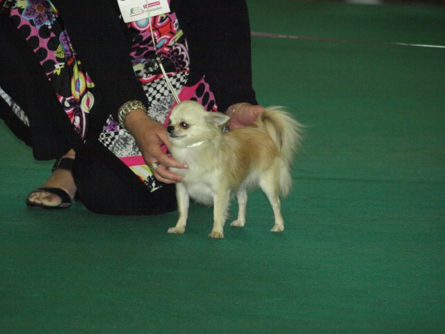 P7116531 [1600x1200]