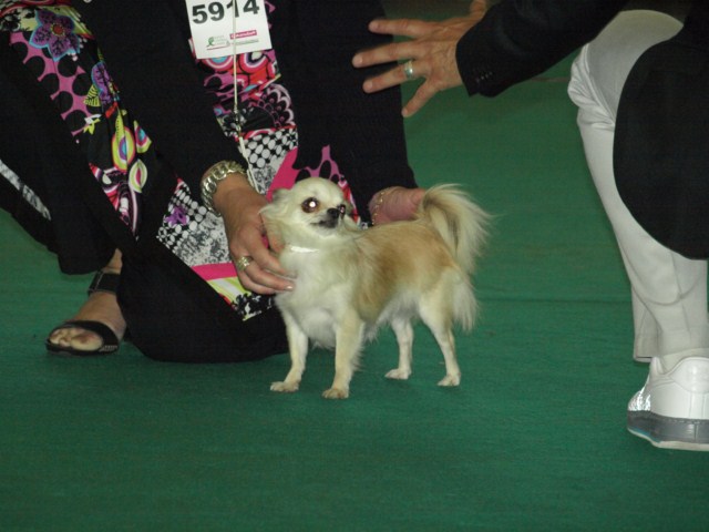 P7116532 [1600x1200]