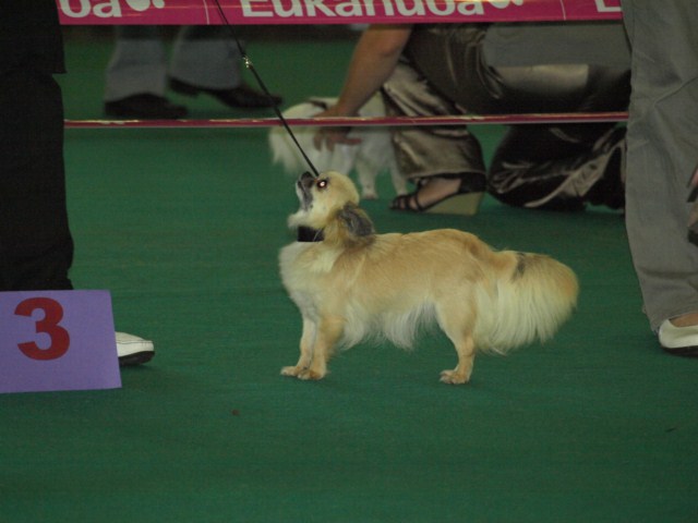 P7116533 [1600x1200]