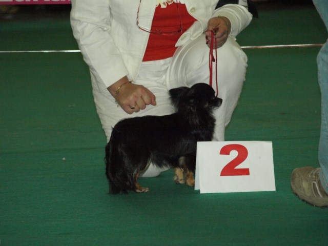 P7116534 [1600x1200]