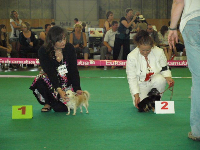 P7116535 [1600x1200]