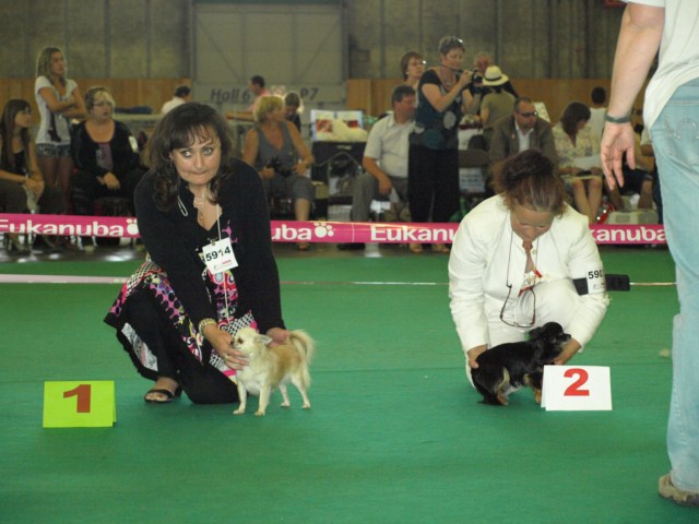 P7116536 [1600x1200]