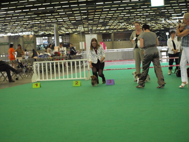 P7116537 [1600x1200]