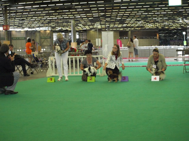 P7116538 [1600x1200]