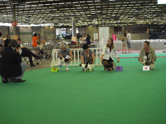 P7116539 [1600x1200]