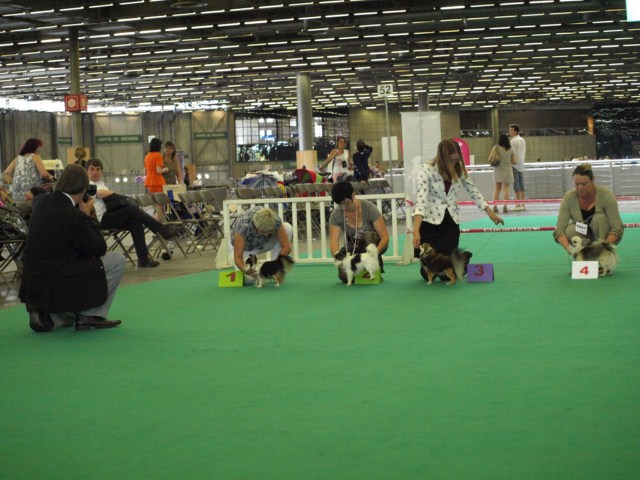 P7116540 [1600x1200]