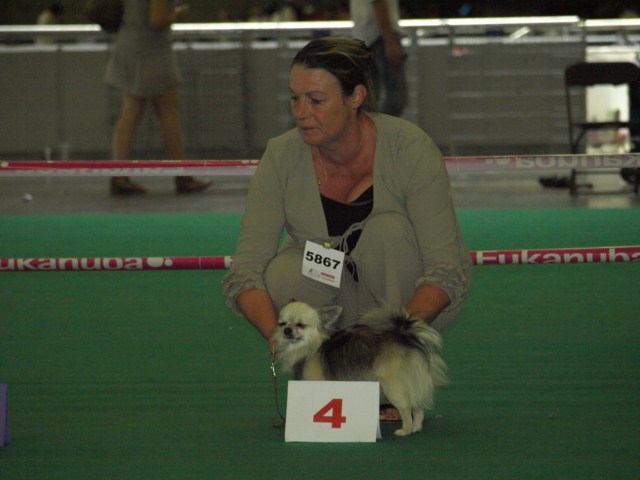 P7116541 [1600x1200]