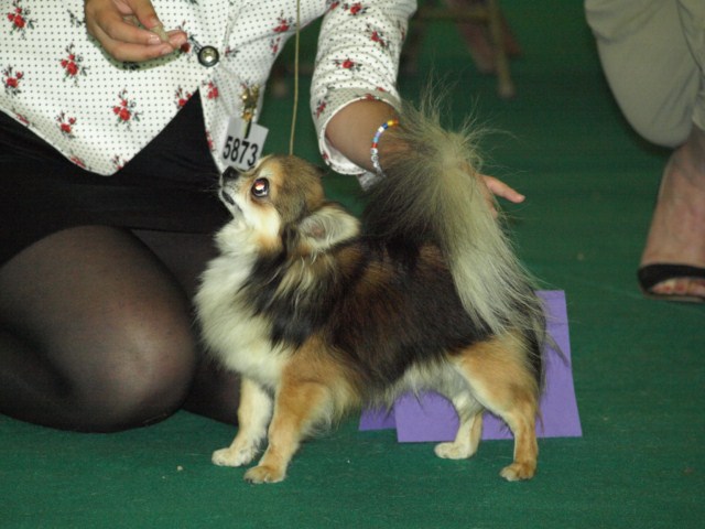 P7116542 [1600x1200]