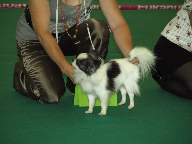 P7116543 [1600x1200]