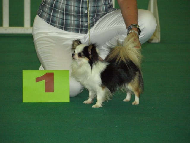 P7116544 [1600x1200]