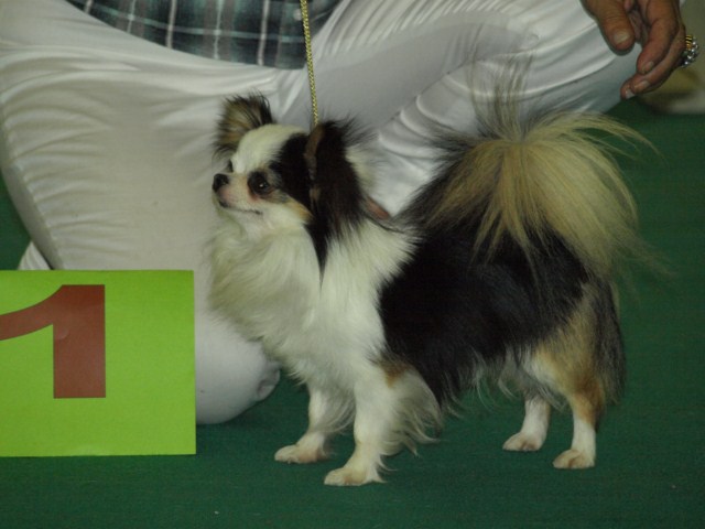 P7116545 [1600x1200]