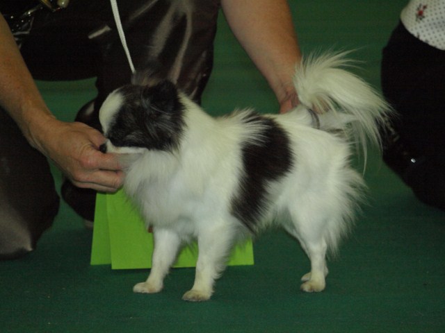 P7116546 [1600x1200]