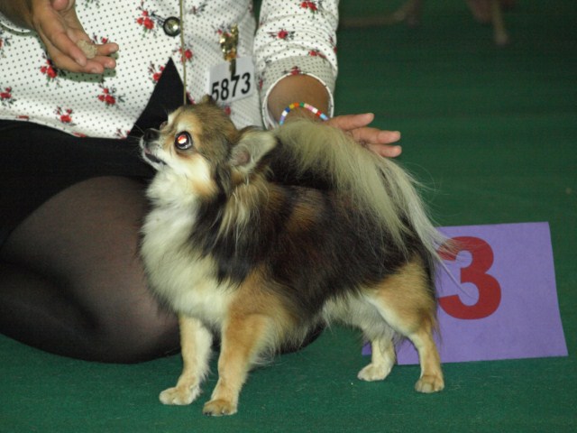 P7116547 [1600x1200]