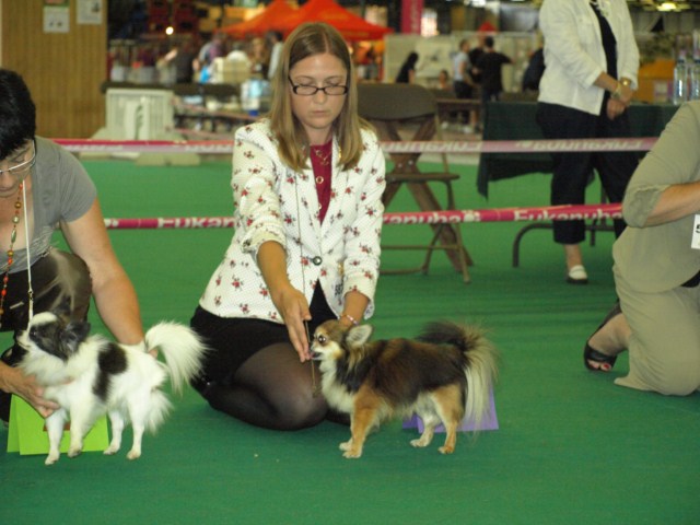 P7116548 [1600x1200]