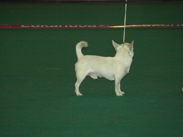 P7116448 [1600x1200]