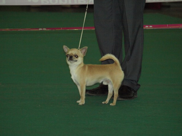 P7116449 [1600x1200]